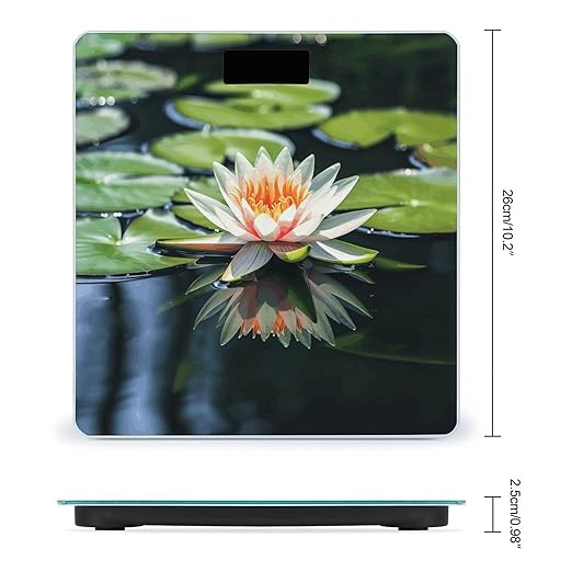Water Lily Bathroom Scale Automatic Power On/Off Body Scales LCD Backlight Display Square Digital Scale Rounded Corners Bathroom Scales for Home Bedrooms