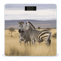 Zebras on South Africa Bathroom Scale for Body Weight with High Precision Large LCD Backlight Display Digital Weighing Scale with BMI Capacity Up to 180kg
