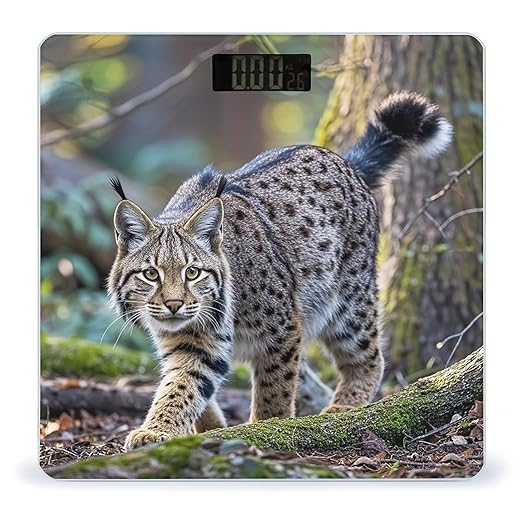 Wild Bobcat Bathroom Scale for Body Weight with High Precision Large LCD Backlight Display Digital Weighing Scale with BMI Capacity Up to 180kg