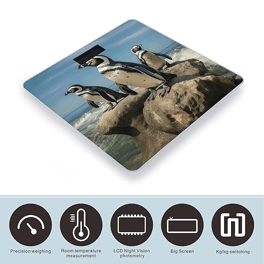Penguin on The Beach Smart Scale for Body Weight Accurate Bathroom Scale with LED Display Digital Weight Scales Weighing Machine High Precision Scales for Bath Home