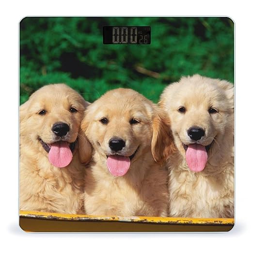 Golden Retriever Dogs Puppies Pets Scale for Body Weight Anti-Slip Sturdy Tempered Glass Weighing Machine Highly Digital Accurate Bright LCD Bathroom Scale for Household Gift