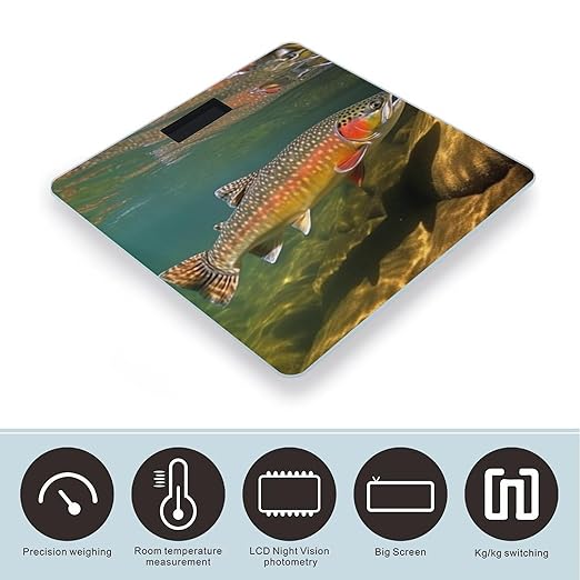 Brook Trout Fly Fishing Scale for Body Weight Sturdy Tempered Glass Weighing Scales with LCD Display Accurate Digital Bathroom Scale Convenient Body Fat Smart Scales Easy Read