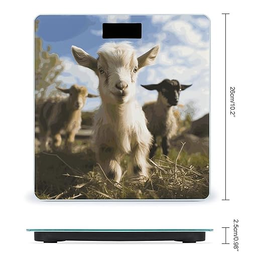 Digital Bathroom Scale for Body Weight Scale with Bright LCD Display High Accuracy Step-On Technology Auto On/Off Cute Goat Digital Scales 400 Lbs /180kg