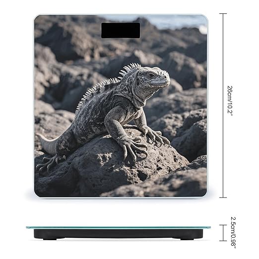 MarineIguana Scale for Body Weight Sturdy Tempered Glass Weighing Scales with LCD Display Accurate Digital Bathroom Scale Convenient Body Fat Smart Scales Easy Read