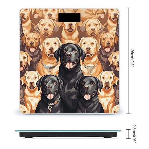 Labrador Retriever DogsScale for Body Weight with LCD High Precision Weighing Scales Fashion Sturdy Tempered Glass Weight Scales Easy-to-Read Digital Bathroom Scale for Daily 400lb