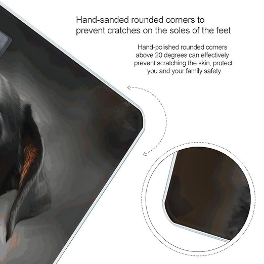 Digital Bathroom Scale for Body Weight Scale with Bright LCD Display High Accuracy Step-On Technology Auto On/Off Cool Rottweiler Dog Art Digital Scales 400 Lbs /180kg