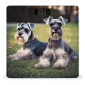 Adult Schnauzer Dogs Bathroom Scale for Body Weight Bathroom Weighing Scale with Backlit LCD Display Highly Accurate Measures Weight Up to 180kg