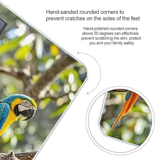 Colorful Parrots On Tree Scale for Body Weight Accurate Digital Bathroom Scale Toughened Glass High Precision Scales Smart Weight Scales with Large LCD Backlight Display Weighing Machine