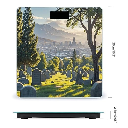 Cemetery Outside The City Scale for Body Weight Highly Accurate Digital Bathroom Body Scale Digital Bathroom Scales for People Anti-Slip Large LCD Display Smart Scales