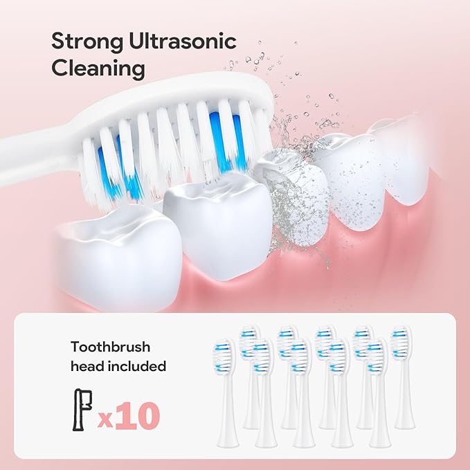 Dnil 2-Pack Adult Electric toothbrushes for Oral Care Rechargeable Sonic Toothbrush Set 35000 VPM 10 Replaceable Brush Heads 5 Modes (White &amp Blue)