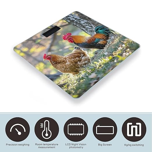 Beautiful Rooster Hen Scale for Body Weight Accurate Digital Bathroom Scale Toughened Glass High Precision Scales Smart Weight Scales with Large LCD Backlight Display Weighing Machine
