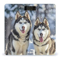 Adorable Huskies Scale for Body Weight Accurate Digital Bathroom Scale Toughened Glass High Precision Scales Smart Weight Scales with Large LCD Backlight Display Weighing Machine
