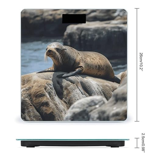 Brown Seal on The Rock Scale for Body Weight Digital Bathroom Scale Accurate Smart Weight Scales with Large Display Weighing Machine High Precision Scales