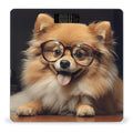 Pomeranian Dog Wearing Glasses Bathroom Scale Rounded Smart Scale for Body Weight Automatic Power On/Off Weight Scales Accurate Bathroom Digital Scales for Pet Home Bedroom Kitchen