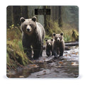 Mother Bear and Her Cubs Bathroom Scale Ultra-Bright Liquid Crystal Screen Weight Scale Accurate Bathroom Body Scales for Body Weight Bathroom Pet Home Bedroom Gift-Giving
