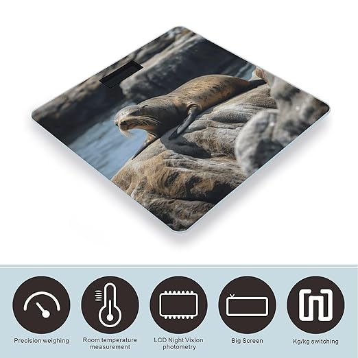 Brown Seal on The Rock Scale for Body Weight Digital Bathroom Scale Accurate Smart Weight Scales with Large Display Weighing Machine High Precision Scales