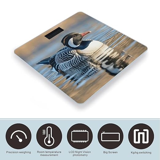 Loon Nature Birds Scale for Body Weight Sturdy Tempered Glass Weighing Scales with LCD Display Accurate Digital Bathroom Scale Convenient Body Fat Smart Scales Easy Read