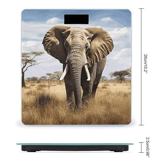 Elephant Bathroom Scale Automatic Power On/Off Body Scales LCD Backlight Display Square Digital Scale Rounded Corners Bathroom Scales for Home Bedrooms
