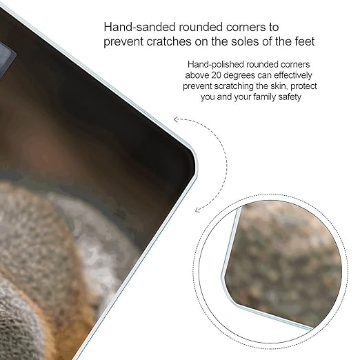 Squirrel Just Laying Bathroom Scale Ultra-Bright Liquid Crystal Screen Weight Scale Accurate Bathroom Body Scales for Body Weight Bathroom Pet Home Bedroom Gift-Giving