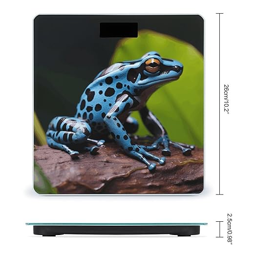 Dart Frog Blue Bathroom Scale Large LCD Backlight Display Digital Scale Rounded Corners Body Scales Automatic Power On/Off Bathroom Scales for Home Bedrooms