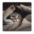 Cat Under Blanket Bathroom Scale Large LCD Backlight Display Digital Scale Rounded Corners Body Scales Automatic Power On/Off Bathroom Scales for Home Bedrooms