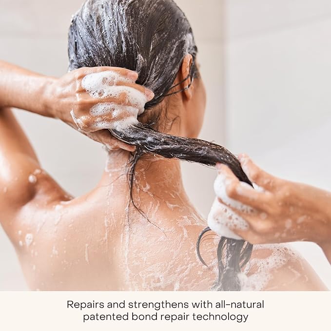 Everist The Complete Shower Kit Strengthens &amp Repairs Hair Deep Hydration &amp Smoothing Shampoo Deep Conditioner &amp Body Wash Concentrates Compostable Konjac Sponge 3.4 fl oz Tins