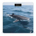 Whale Shark Bathroom Scale for Body Weight LCD Display Digital Bathroom Scale Tempered Glass Bathroom Weight Scales Fashion Smart Scales for Home Bedroom 400 Lb