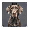Dalmatian Scale for Body Weight Digital Bathroom Scale Toughened Glass High Precision Scales for Body Weight with Large LCD Backlight Display Weight Scales