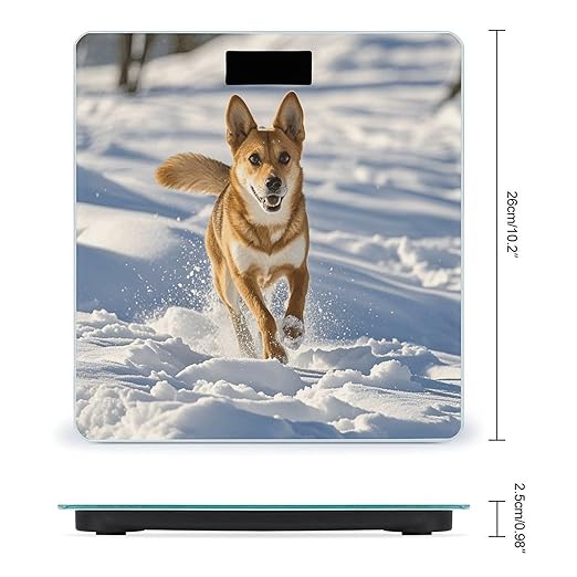 Dog Chasing in The Snow Scale for Body Weight Digital Bathroom Scale Accurate Smart Weight Scales with Large Display Weighing Machine High Precision Scales