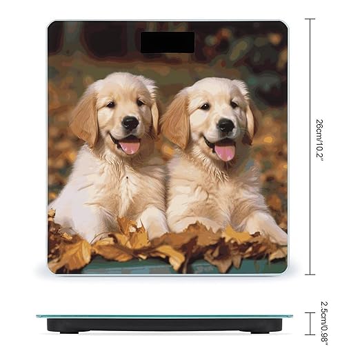 Golden Retriever Dogs Puppies Pets Scale for Body Weight Sturdy Tempered Glass Weighing Scales with LCD Display Accurate Digital Bathroom Scale Convenient Body Fat Smart Scales 400lb