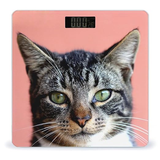 Cute Cat with Green Eyes Digital Bathroom Scale for Body Weight Lighted LCD Display Round Corner