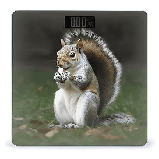 Squirrel Weight Scale for Body Weight Digital Bathroom Scale High Capacity Accurate Digital Weighing Scales and Easy-to-Read on Backlit LCD Display Scales