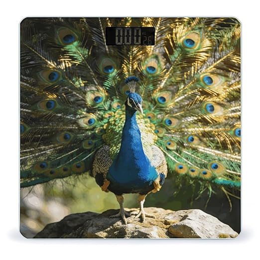 Beautiful Peacock with Colorful Feathers Weight ScaleClear LED Display Bathroom Digital Weighing ScaleTempered Glass Digital Bathroom Scale for Body Weight Capacity Up to 400 Lbs