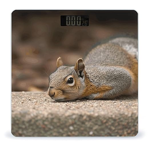 Squirrel Just Laying Bathroom Scale Ultra-Bright Liquid Crystal Screen Weight Scale Accurate Bathroom Body Scales for Body Weight Bathroom Pet Home Bedroom Gift-Giving