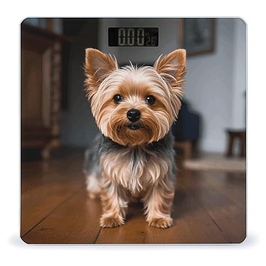 Cute Pet Yorkie Weight Scale for Body Weight Digital Bathroom Scale High Capacity Accurate Digital Weighing Scales and Easy-to-Read on Backlit LCD Display Scales