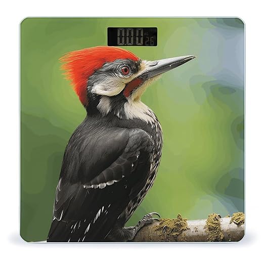 Cute Pileated Woodpecker Scale for Body Weight Accurate Digital Bathroom Scale Toughened Glass High Precision Scales Smart Weight Scales with Large LCD Backlight Display Weighing Machine