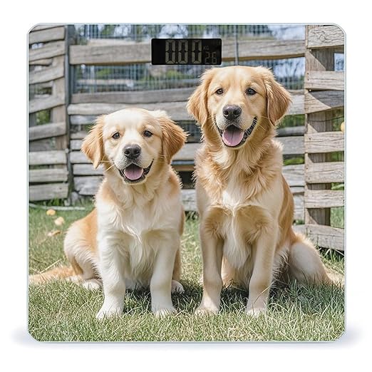 Golden Retriever Dogs Puppies Pets Bathroom Scale for Body Weight with High Precision Large LCD Backlight Display Digital Weighing Scale with BMI Capacity Up to 180kg