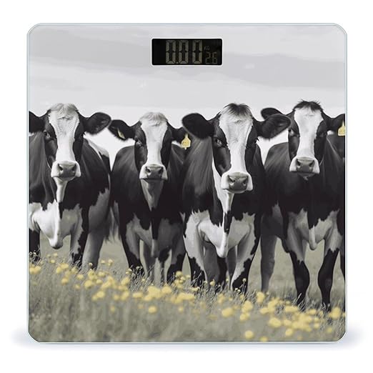 Black White Cows Bathroom Scale Automatic Power On/Off Body Scales LCD Backlight Display Square Digital Scale Rounded Corners Bathroom Scales for Home Bedrooms