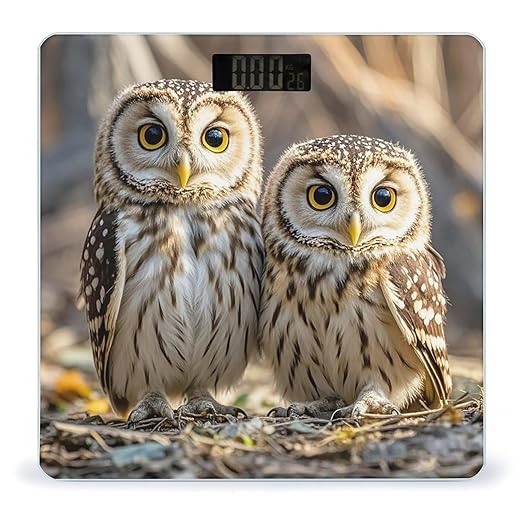 Real Cute Owls Scale for Body Weight Accurate Digital Bathroom Scale Toughened Glass High Precision Scales Smart Weight Scales with Large LCD Backlight Display Weighing Machine
