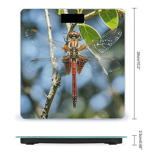 Dragonfly is Red Scale for Body Weight Digital Bathroom Scale Accurate Smart Weight Scales with Large Display Weighing Machine High Precision Scales