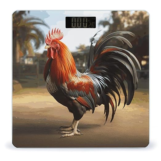 Proud Rooster Bathroom Scale Automatic Power On/Off Body Scales LCD Backlight Display Square Digital Scale Rounded Corners Bathroom Scales for Home Bedrooms