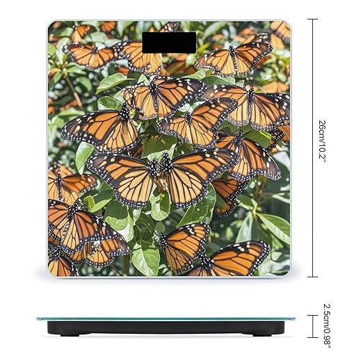 Heaps of Orange Monarch Butterflies Scale for Body Weight Accurate Digital Bathroom Scale Toughened Glass High Precision Scales Smart Weight Scales with Large LCD Backlight Display Weighing Machine