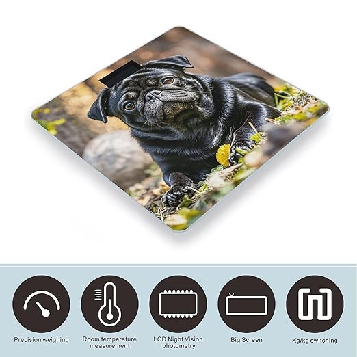 Cute Black Pug Dog Scale for Body Weight Highly Accurate Digital Bathroom Body Scale Digital Bathroom Scales for People Anti-Slip Large LCD Display Smart Scales