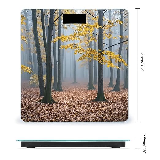 Mist Pervades Scale for Body Weight Smart Scales Digital Bathroom Scale High Precision Weighing Scales with Large Display Weighing Machine for People