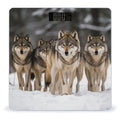Pack of Wolves Bathroom Scale for Body Weight 400 Lb Weight Scale with High Precision Sensors Tempered Glass Highly Accurate Digital Weighing Machine for People