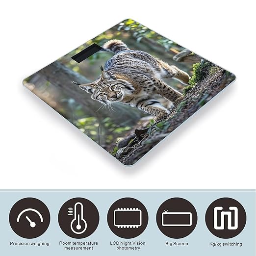 Wild Bobcat Bathroom Scale for Body Weight Bathroom Weighing Scales with Back Lit LED Display Sturdy Tempered Glass Body Weight Bathroom Scale 400lb Weighing