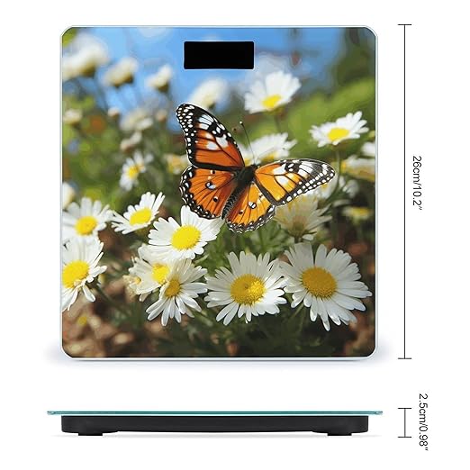 Butterfly on Daisy Flower Bathroom Scale Large LCD Backlight Display Digital Scale Rounded Corners Body Scales Automatic Power On/Off Bathroom Scales for Home Bedrooms