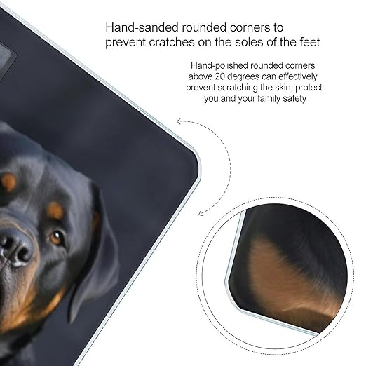 Digital Bathroom Scale for Body Weight Scale with Bright LCD Display High Accuracy Step-On Technology Auto On/Off Rottweiler Wallpaper Digital Scales 400 Lbs /180kg
