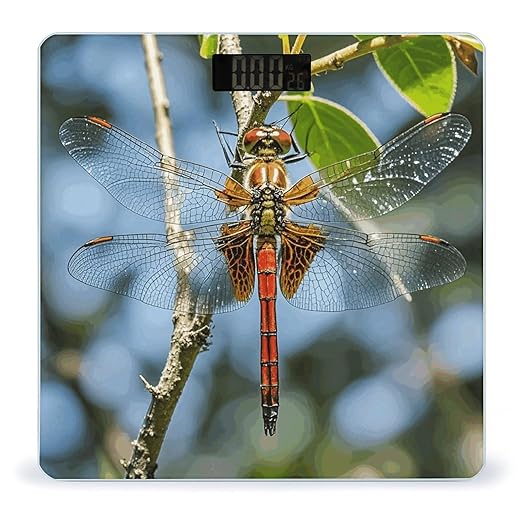 Dragonfly is Red Scale for Body Weight Digital Bathroom Scale Accurate Smart Weight Scales with Large Display Weighing Machine High Precision Scales
