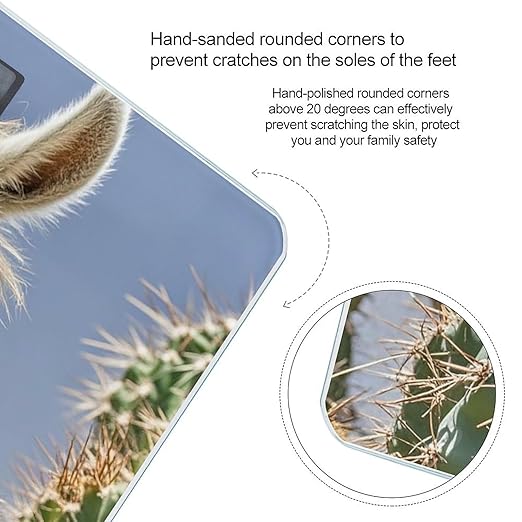 Mexican Llama Cactus Scale for Body Weight Highly Accurate Digital Bathroom Body Scale Digital Bathroom Scales for People Anti-Slip Large LCD Display Smart Scales